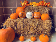 Personalized Faux Pumpkins